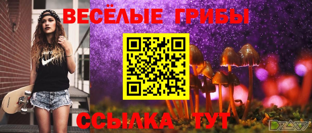Псилоцибиновые грибы Psilocybine cubensis  Вход с VPN  Жигулёвск 